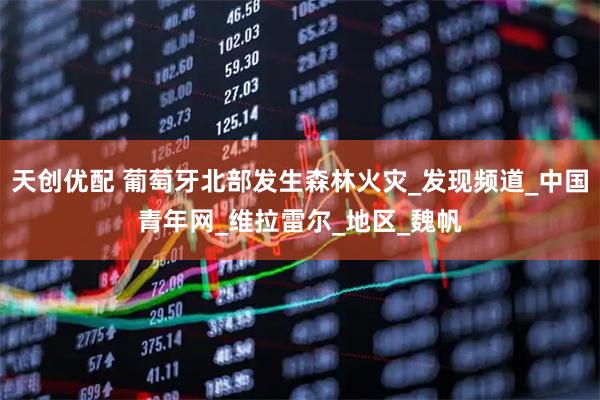 天创优配 葡萄牙北部发生森林火灾_发现频道_中国青年网_维拉雷尔_地区_魏帆