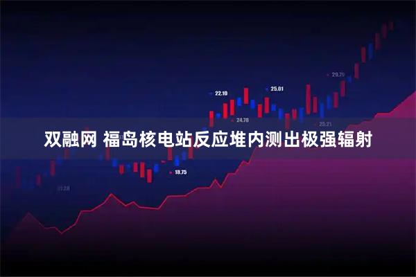 双融网 福岛核电站反应堆内测出极强辐射